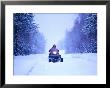 Snowmobile Driving Through Forest, Finland by David Tipling Limited Edition Print