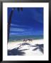 Palm Trees And Horses, Tambua Sands, Coral Coast, Fiji by David Wall Limited Edition Pricing Art Print
