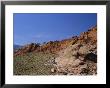 Red Rock Canyon, Spring Mountains, Mojave Desert, Near Las Vegas, Nevada, Usa by Fraser Hall Limited Edition Print