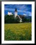 Field Of Flowers In Front Of Burg (Castle) Gutenburg And Church, Balzers, Liechtenstein by Martin Moos Limited Edition Pricing Art Print