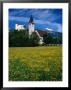 Field Of Flowers In Front Of Burg (Castle) Gutenburg And Church, Balzers, Liechtenstein by Martin Moos Limited Edition Pricing Art Print