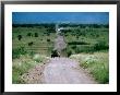 Jeep On Dirt Road, Ngorongoro Conservation Area, Arusha, Tanzania by Mark Daffey Limited Edition Pricing Art Print