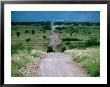 Jeep On Dirt Road, Ngorongoro Conservation Area, Arusha, Tanzania by Mark Daffey Limited Edition Print