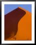 Tree And Soussevlei Sand Dune, Namibia by Joe Restuccia Iii Limited Edition Print