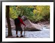 Crossing The Virgin River In The Zion National Park, Zion National Park, Utah, Usa by Cheyenne Rouse Limited Edition Print