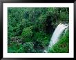 Zillie Falls On Millaa Millaa Waterfall Circuit, Atherton Tablelands, Australia by John Banagan Limited Edition Pricing Art Print