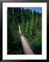 Capilano Suspension Bridge Crossing The Capilano River, Vancouver, British Columbia, Canada by Thomas Winz Limited Edition Print