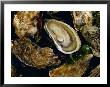 Huitres Fines De Claires (Oysters), Ile De Re, Charente Maritime, France, Europe by J P De Manne Limited Edition Pricing Art Print