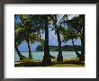 Beach View, Guam, Pacific by Ken Gillham Limited Edition Print