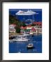 Cruise Ship Approaching Island Port, Gustavia, St. Barts by Wayne Walton Limited Edition Pricing Art Print