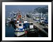 Fishing Boats In The Harbour, Concarneau, Brittany, France by Martin Moos Limited Edition Print