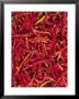Red Chilli Peppers, Rajasthan, India by Bruno Morandi Limited Edition Pricing Art Print