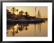 The New Marina, Cala D'or, Majorca (Mallorca), Balearic Islands, Spain, Europe by Ruth Tomlinson Limited Edition Print