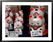 Display Of Lucky Cats, Japanese Cultural Icon For Good Fortune, Akasaka, Tokyo, Japan by Nancy & Steve Ross Limited Edition Pricing Art Print