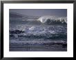 Winter Waves And Shorebirds In Ballyhiernan Bay, Fanad Head, Ireland by Gareth Mccormack Limited Edition Print