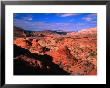 Colorado Plateau, U.S.A. by Mark Newman Limited Edition Print