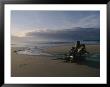 Driftwood And Tidal Pools by Sam Abell Limited Edition Print