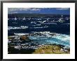 Yachts And Spectator Craft Sailing In Sydney Harbour, Sydney, Australia by Barnett Ross Limited Edition Print