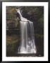Thornton Force, Ingleton Waterfalls Walk, Yorkshire Dales National Park, Yorkshire, England by Neale Clarke Limited Edition Print
