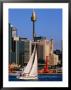 Sailing Around Darling Harbour, Sydney, Australia by Greg Elms Limited Edition Print