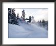 A Man Jumps Across A Road In The Backwoods Of Utah's Mountains by Taylor S. Kennedy Limited Edition Print