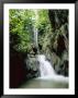 A Forest Waterfall by Roy Toft Limited Edition Print