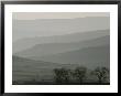 The Early Morning Mist Covers The Rolling Hills Of Derbyshire by Annie Griffiths Belt Limited Edition Print