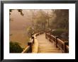 Footpath And Pavillon, West Lake, Hangzhou, Zhejiang Province, China, Asia by Jochen Schlenker Limited Edition Print