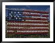 A Makeshift American Flag Of Plastic Cups Decorates A Fence by Stephen St. John Limited Edition Print