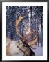 In Santa Claus's Country The Reindeers Abound, Lapland, Finland by Daisy Gilardini Limited Edition Pricing Art Print