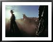 A Teenage Cowboy Sitting In The Cab Of A Truck At Sunset by Joel Sartore Limited Edition Pricing Art Print