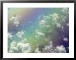 Colorful Clouds by Jacob Halaska Limited Edition Pricing Art Print
