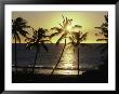 Hapuna Beach, State Park, Kohala Coast, Hi by Peter French Limited Edition Print