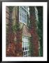 Hanover Ivy On Dartmouth College Building, New Hampshire, Usa by John & Lisa Merrill Limited Edition Print