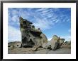 A Rock Formation Created By Wind And Water Erosion On Kangaroo Island by Nicole Duplaix Limited Edition Print