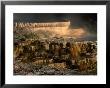 Minerva Spring At Mammoth Hot Springs, Yellowstone National Park, Usa by Carol Polich Limited Edition Print