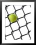 Tennis Ball In Fence by Martin Paul Ltd. Inc. Limited Edition Pricing Art Print