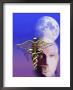 Moon, Surgeon, And Caduceus by Paul Katz Limited Edition Print