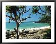 Noosa Heads, Australia by Jacob Halaska Limited Edition Pricing Art Print