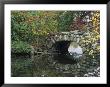 Trees By Pond And Stone Bridge At Hecksher Museum, Long Island, New York, Usa by John & Lisa Merrill Limited Edition Print