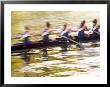 Crew Rowing, Seattle, Washington, Usa by Terry Eggers Limited Edition Print