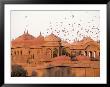 Lalagarh Palace Hotel, Bikaner, India by Stephen Saks Limited Edition Print