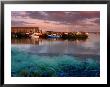 Fishing Boats Moored Alongside Kilronan Pier, Connaught, Ireland by Richard Cummins Limited Edition Print