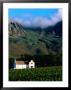 Cape Dutch Colonial Manor House And Vineyard With Mountain Backdrop, Dornier, South Africa by Ariadne Van Zandbergen Limited Edition Print