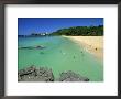 Waimea Bay Beach Park, A Popular Surfing Spot On Oahu's North Shore, Oahu, Hawaii, Usa by Robert Francis Limited Edition Print