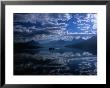 Early Morning Boating In Reflected Sea Of Clouds, Lake Mcdonald, Glacier National Park, Montana by Gareth Mccormack Limited Edition Pricing Art Print