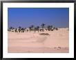 Great Dune On The Sahara, Douz, Tunisia by Grayce Roessler Limited Edition Print