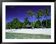 Beach And Palm Trees, Tahiti, Society Islands, French Polynesia, South Pacific Islands, Pacific by Sylvain Grandadam Limited Edition Print