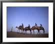 Sunset Camel Ride, Al Maha Desert Resort, Dubai, United Arab Emirates by Holger Leue Limited Edition Print