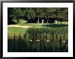 Golfers On The 17Th Hole Of The Eastmoreland Golf Course, Portland, Oregon, Usa by Janis Miglavs Limited Edition Print